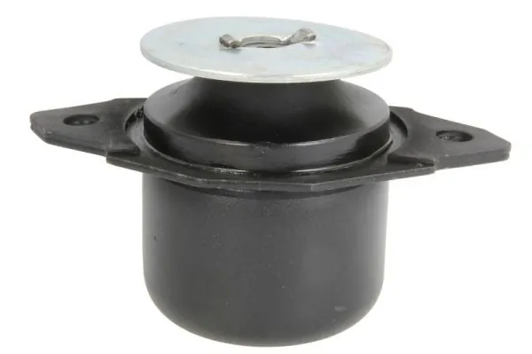 RH110108 Reinhoch