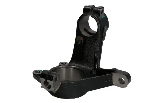 RH082008 Reinhoch