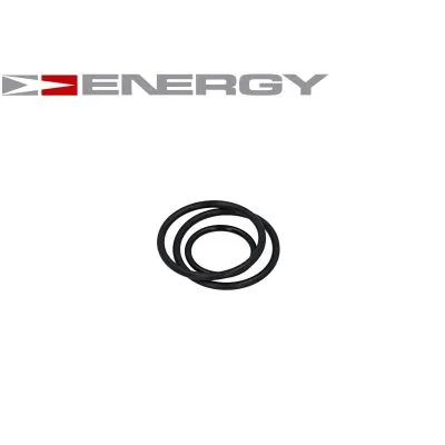 Купить G10029 Energy Элемент-турбинка топливного насоса