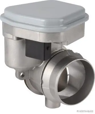 Válvula de borboleta montada BMW X5 E53