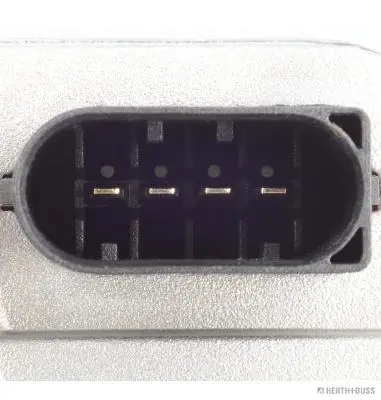 Válvula de borboleta montada BMW X5 E53