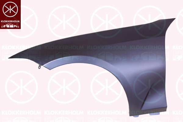 Pára-lama dianteiro direito BMW 3 G21, G81