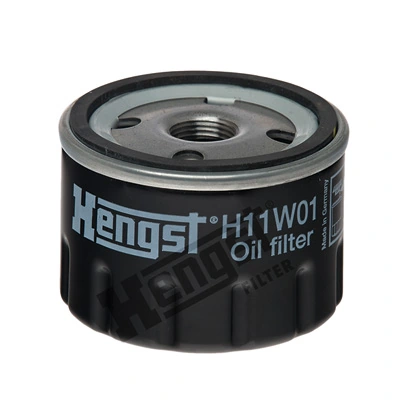 H11W01 Hengst