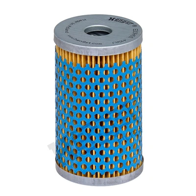 E10H01 Hengst