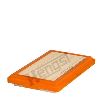 E37L01 Hengst