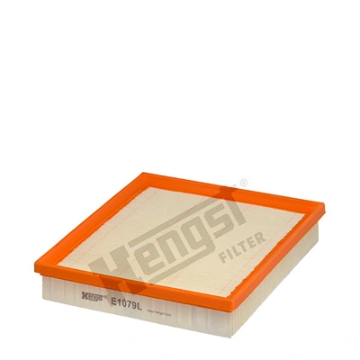 E1079L Hengst