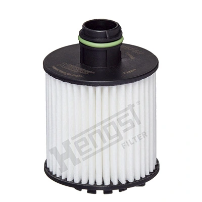 E873HD377 Hengst