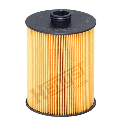 E136HD428 Hengst