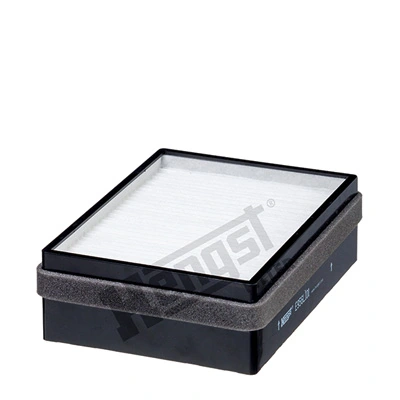E956LI01 Hengst