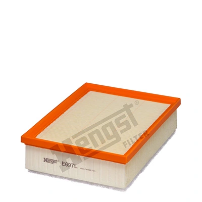 E697L Hengst