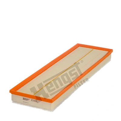 E309L Hengst