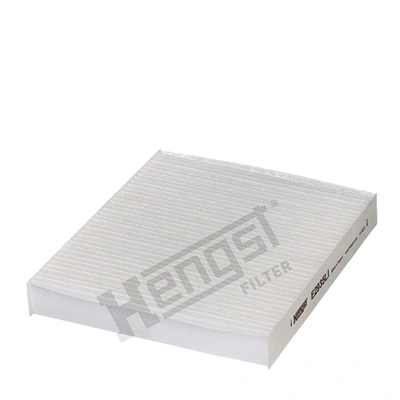 E2935LI Hengst