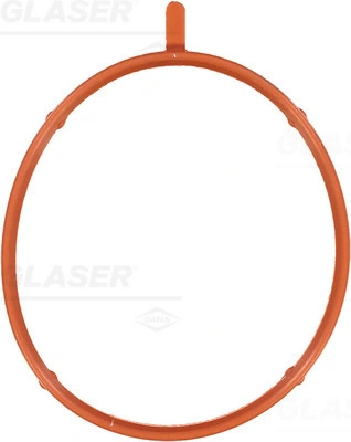 X5895101 Glaser