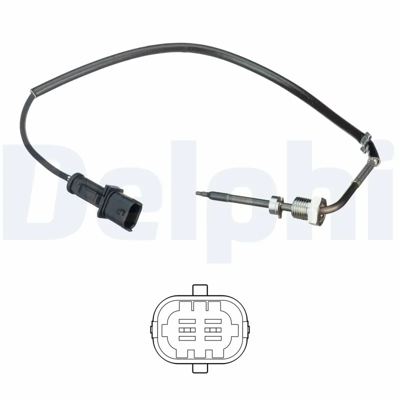TS30195 Delphi