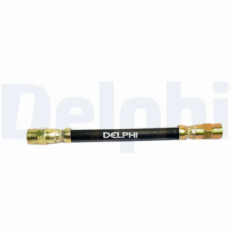 LH0391 Delphi