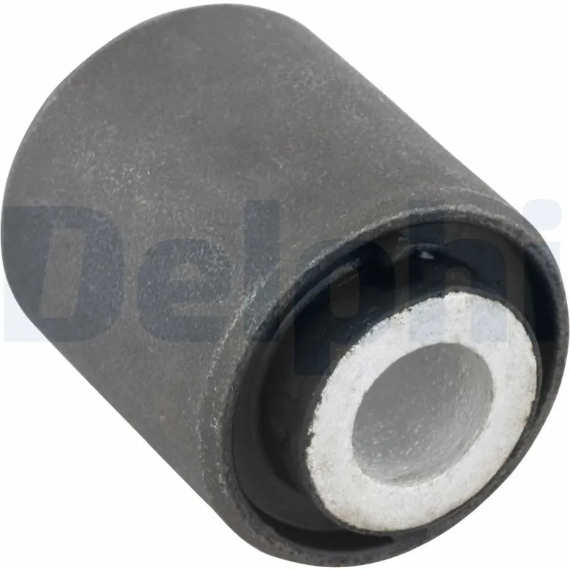 TD450W Delphi