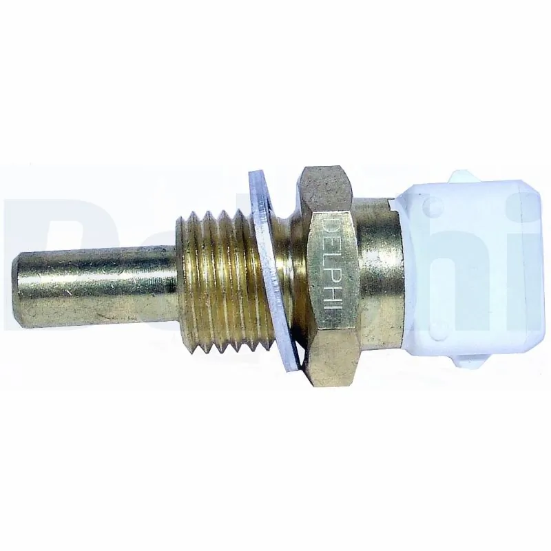 TS10255 Delphi