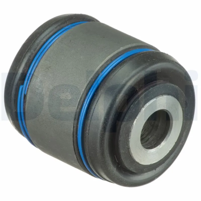 TD1824W Delphi