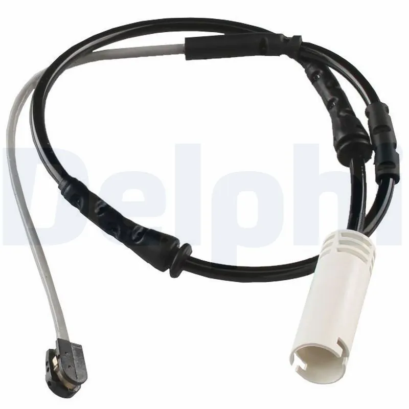 LZ0253 Delphi