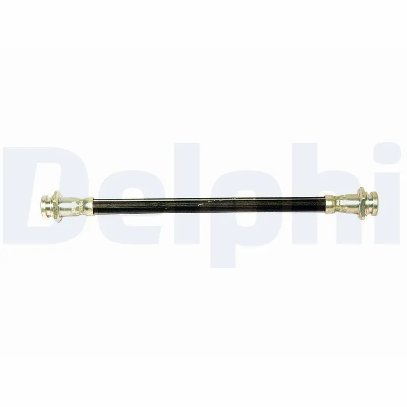 LH6020 Delphi