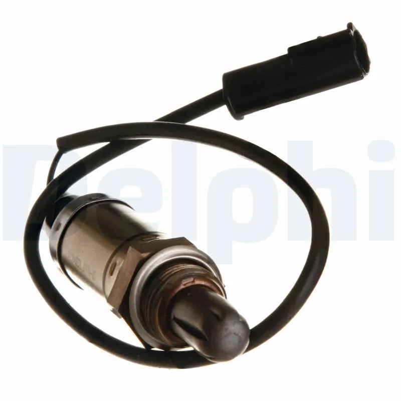 ES1053312B1 Delphi