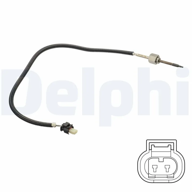 TS30161 Delphi