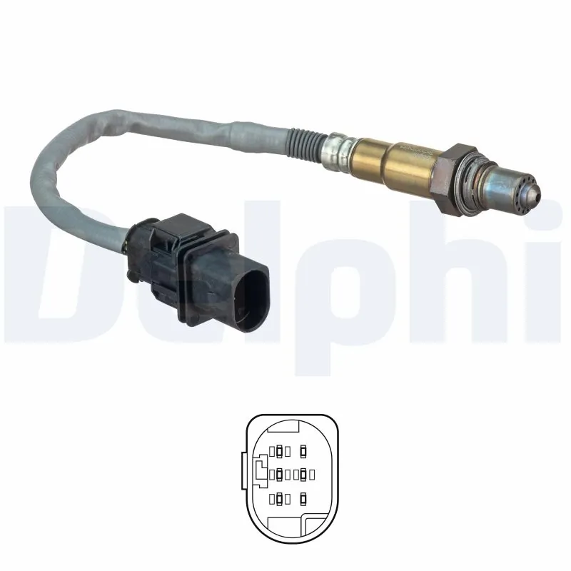 ES2055512B1 Delphi