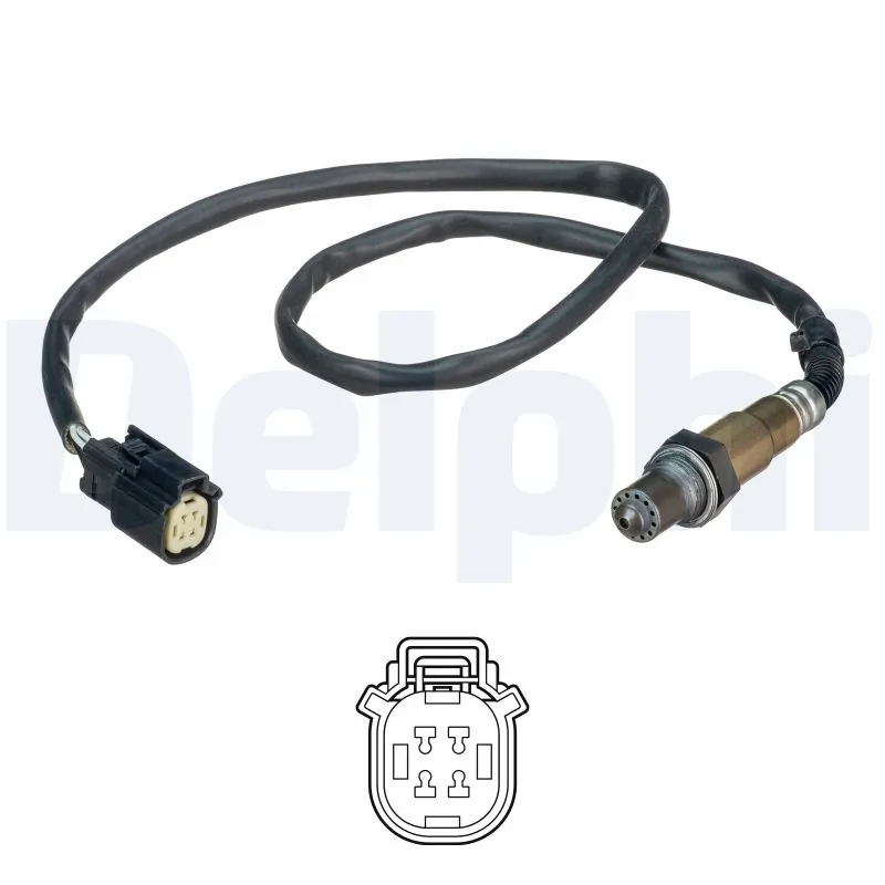 ES2112612B1 Delphi