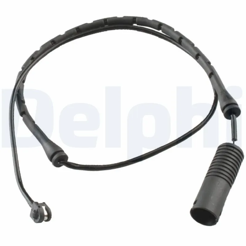 LZ0118 Delphi