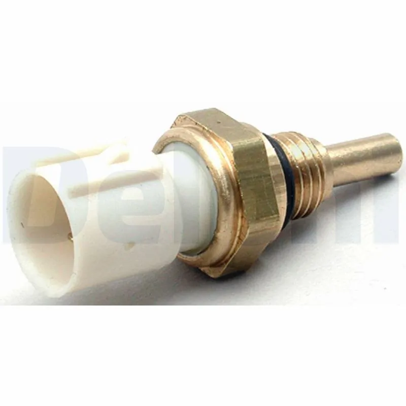 TS1018011B1 Delphi