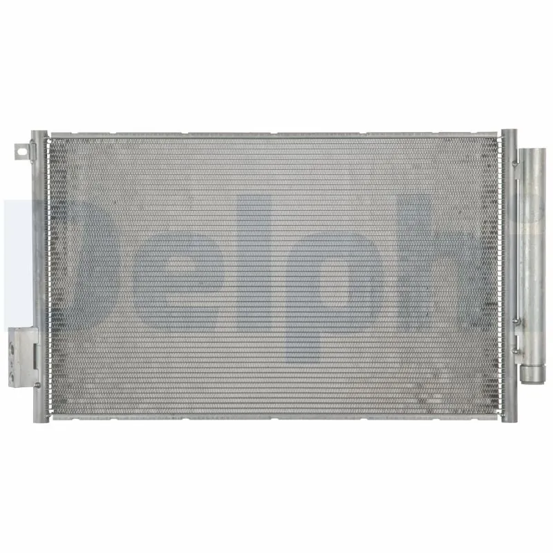 CF20300 Delphi