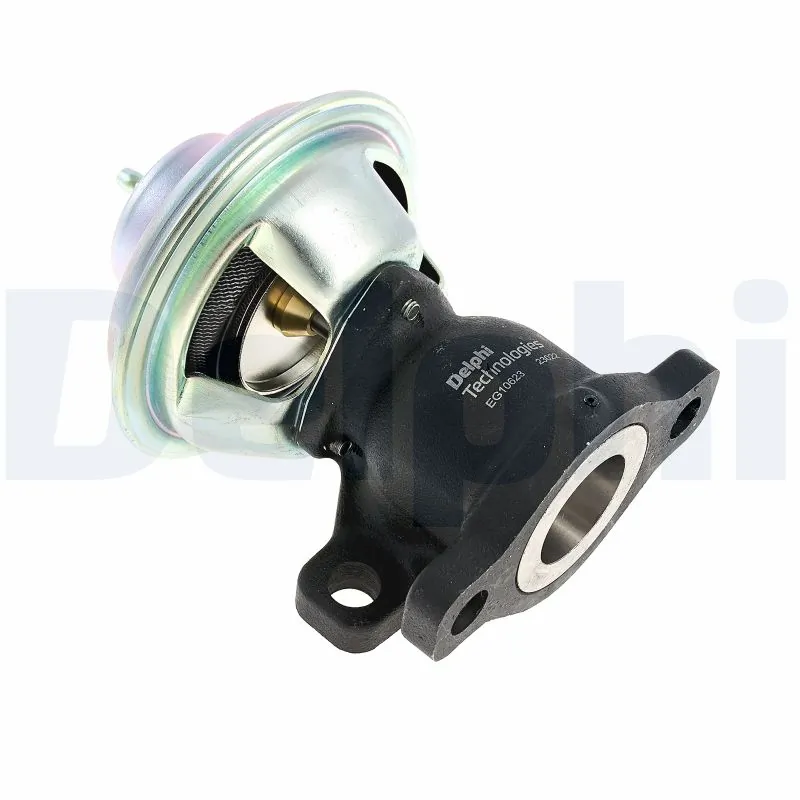 EG1062312B1 Delphi Клапан рециркуляции отработавших газов EGR