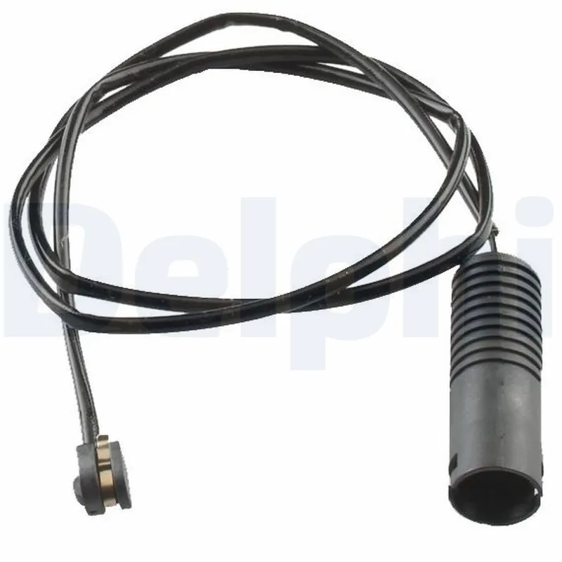 LZ0119 Delphi