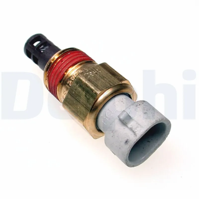 TS10077 Delphi