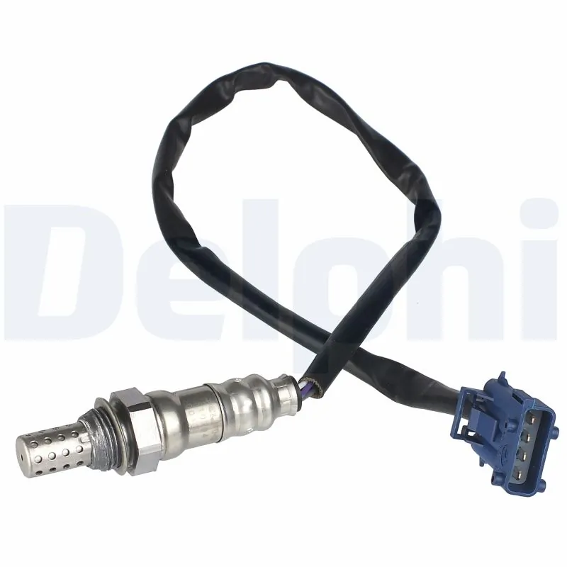 ES1079412B1 Delphi
