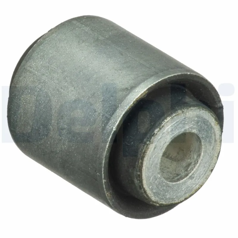 TD1689W Delphi