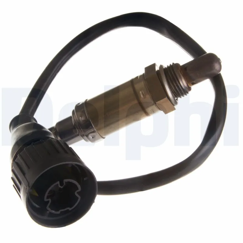 ES1029012B1 Delphi
