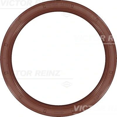 815409800 Victor Reinz