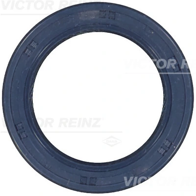 815324300 Victor Reinz