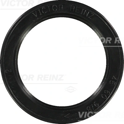 811919500 Victor Reinz