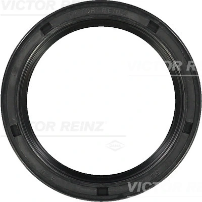 813543800 Victor Reinz