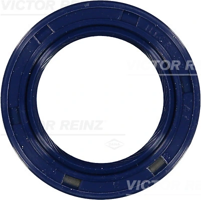 815323700 Victor Reinz