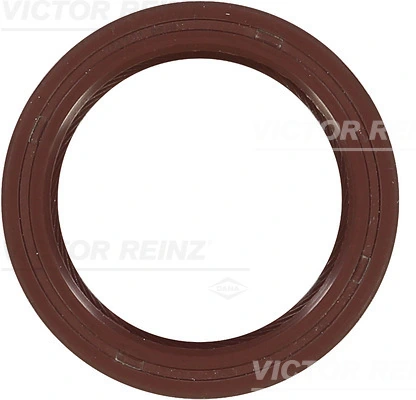 815110930 Victor Reinz