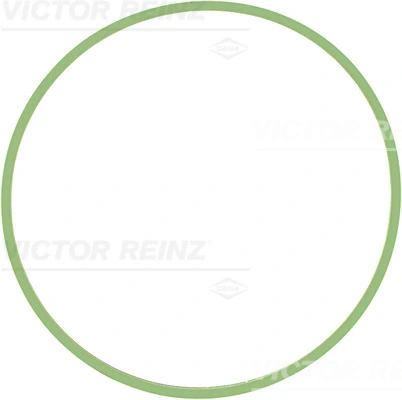 713763100 Victor Reinz