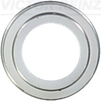 702306200 Victor Reinz