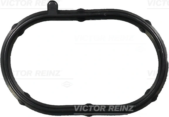 713568200 Victor Reinz