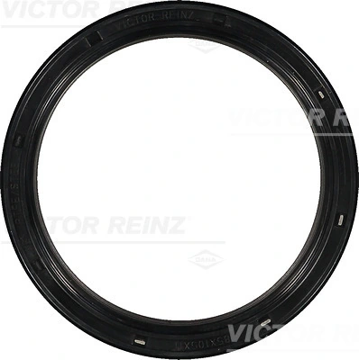 813481900 Victor Reinz
