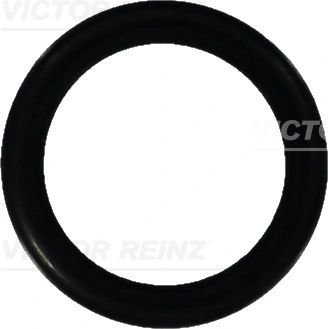 407605210 Victor Reinz
