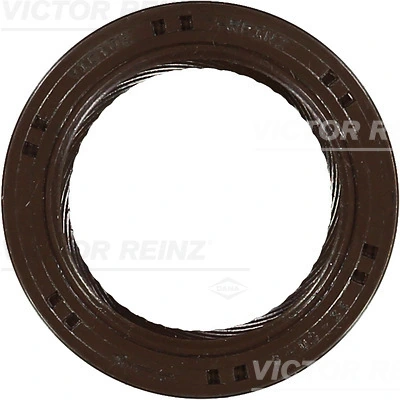 815324600 Victor Reinz