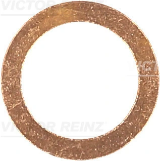 417042300 Victor Reinz